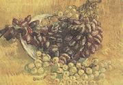 Still life wtih Grapes (nn04)